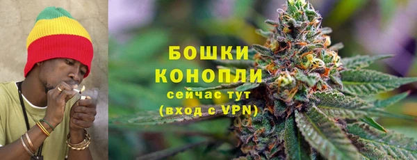 круглые Корсаков