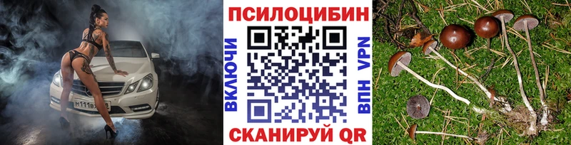Купить  Выкса  Галлюциногенные грибы прущие грибы 